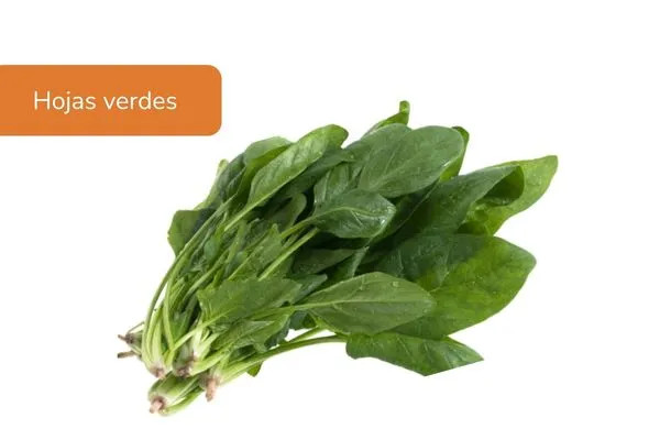 espinaca